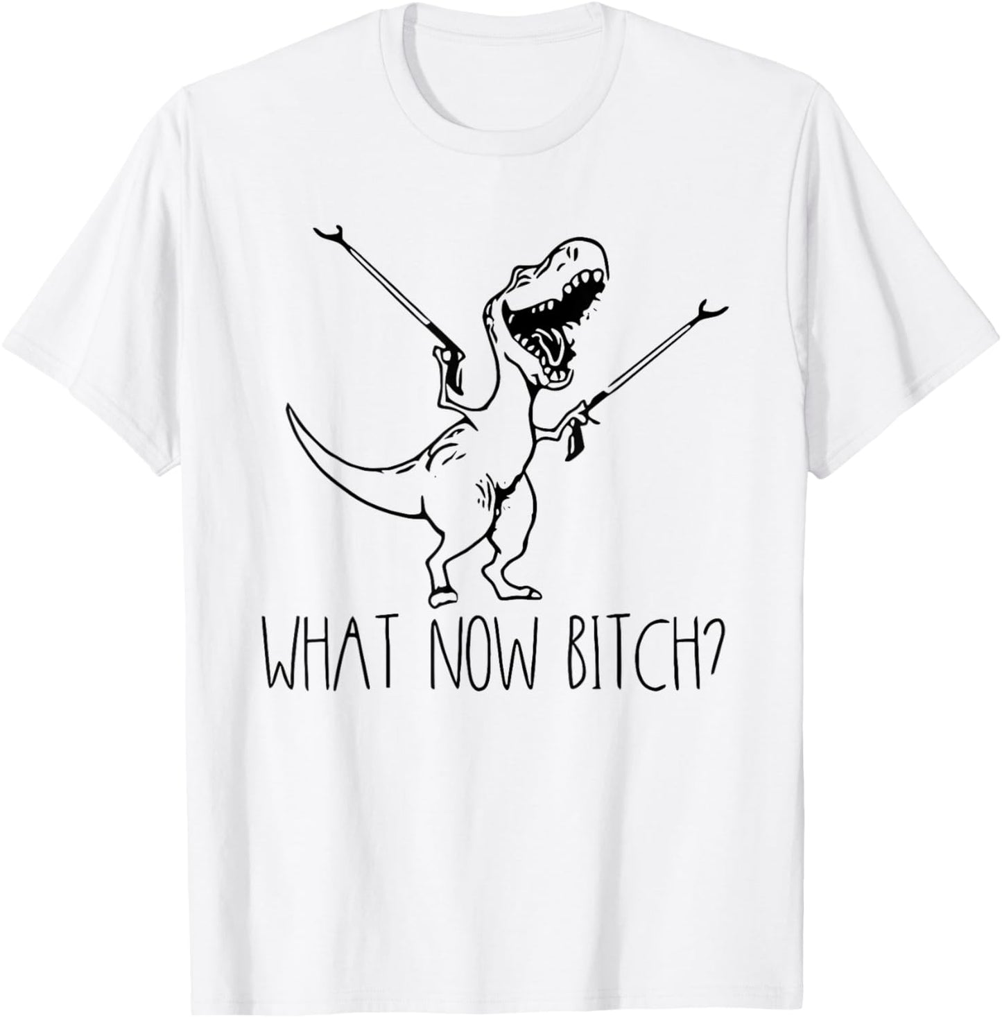 What Now Bitch T-Rex Dinosaur Lover Funny Meme T-Shirt