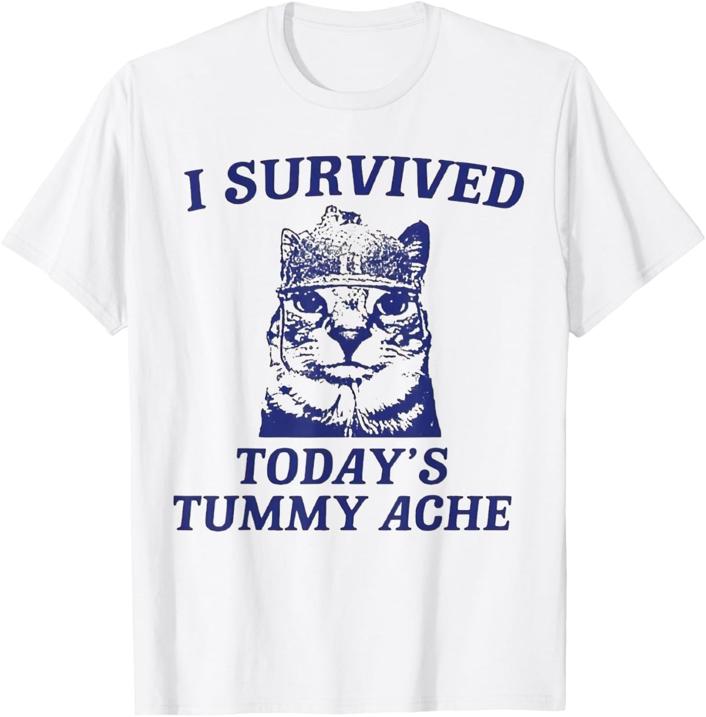 I Survived Today's Tummy Ache funny cat T-Shirt