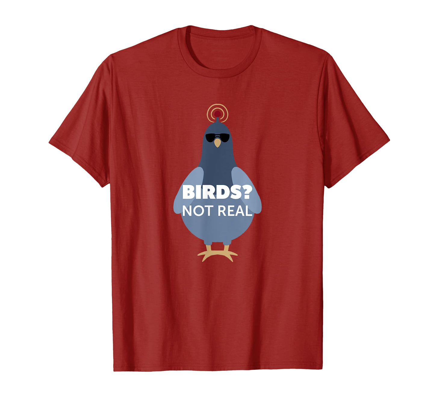 Birds? They Aren't Real Shirt | Funny Conspiracy Theory T-Shirt