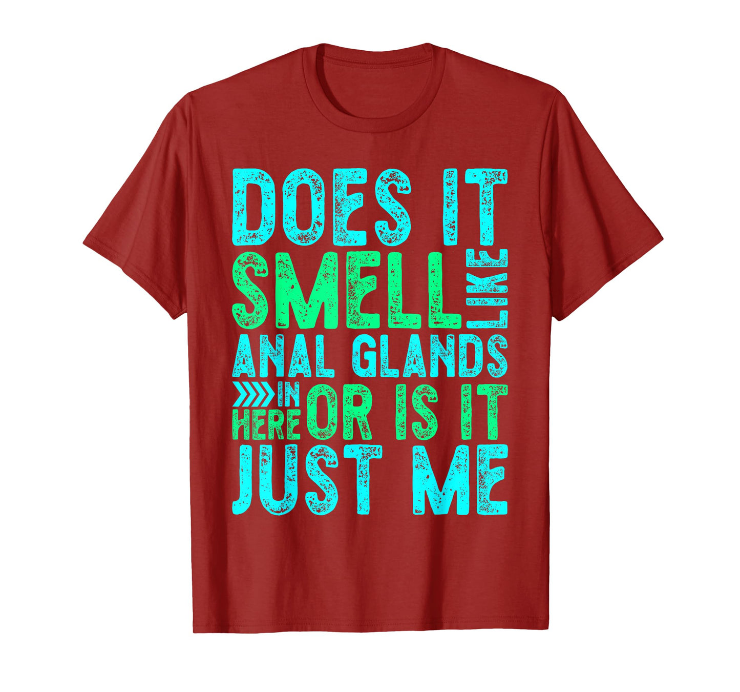 Distressed Does It Smell Like Anal Glands Funny Vet Tech T-Shirt