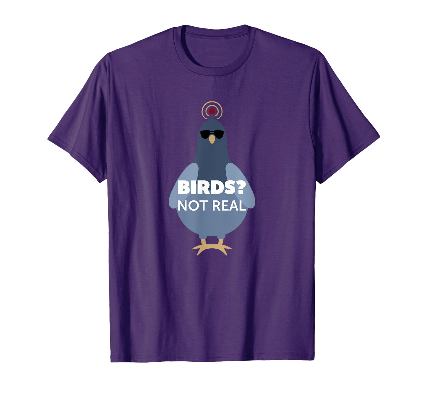 Birds? They Aren't Real Shirt | Funny Conspiracy Theory T-Shirt