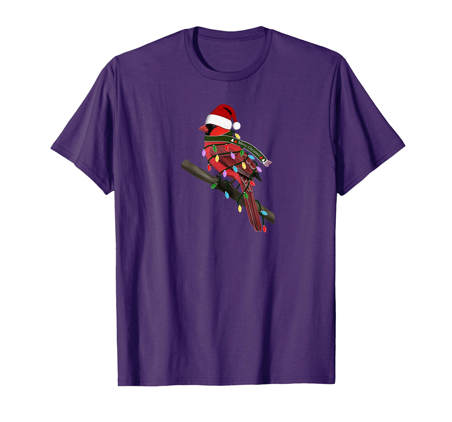 Cardinal Christmas Bird Santa Claus Biologist Animal T-Shirt