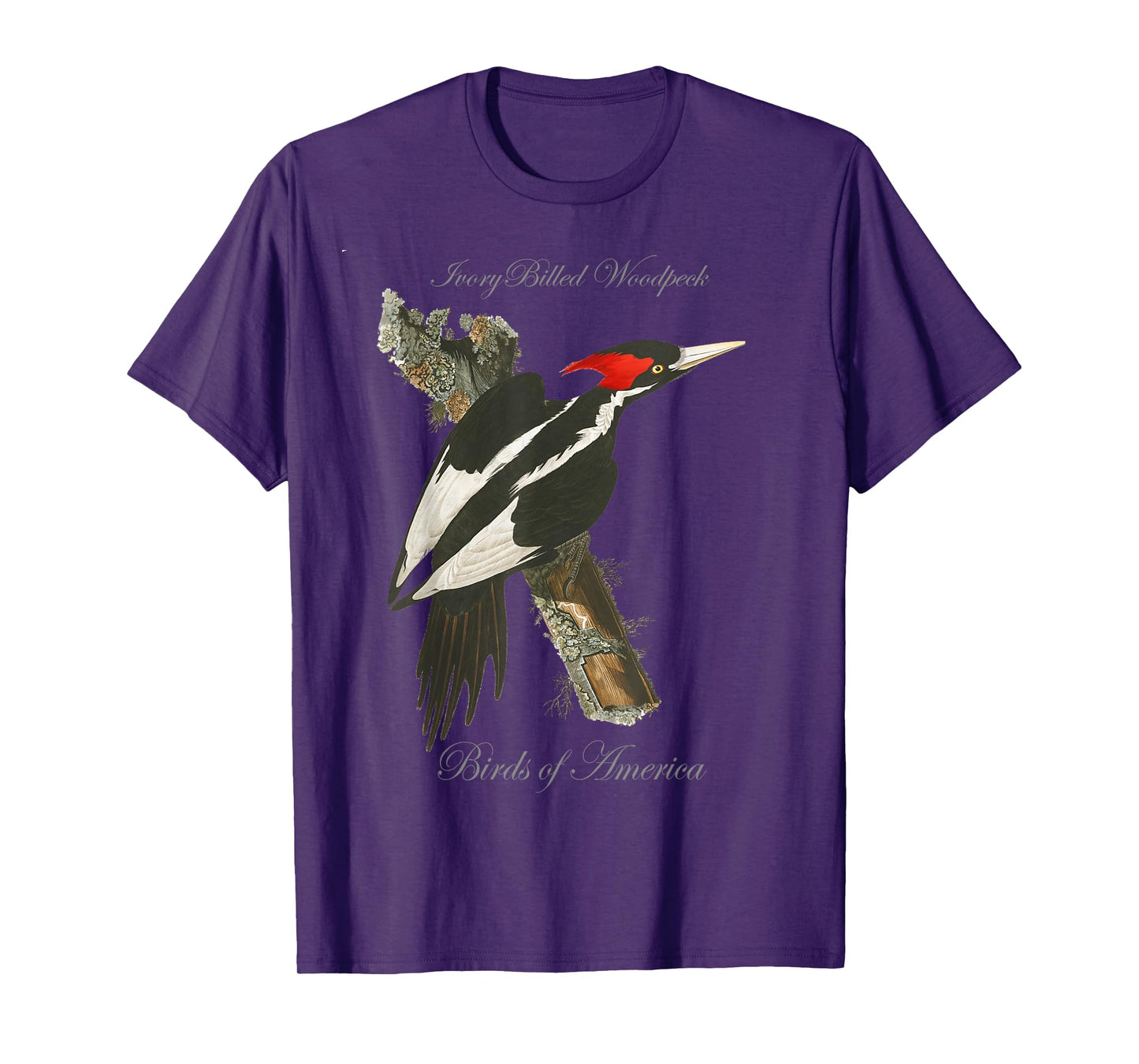 Ivory Billed Woodpecker - Birds of America Series T-Shirt T-Shirt