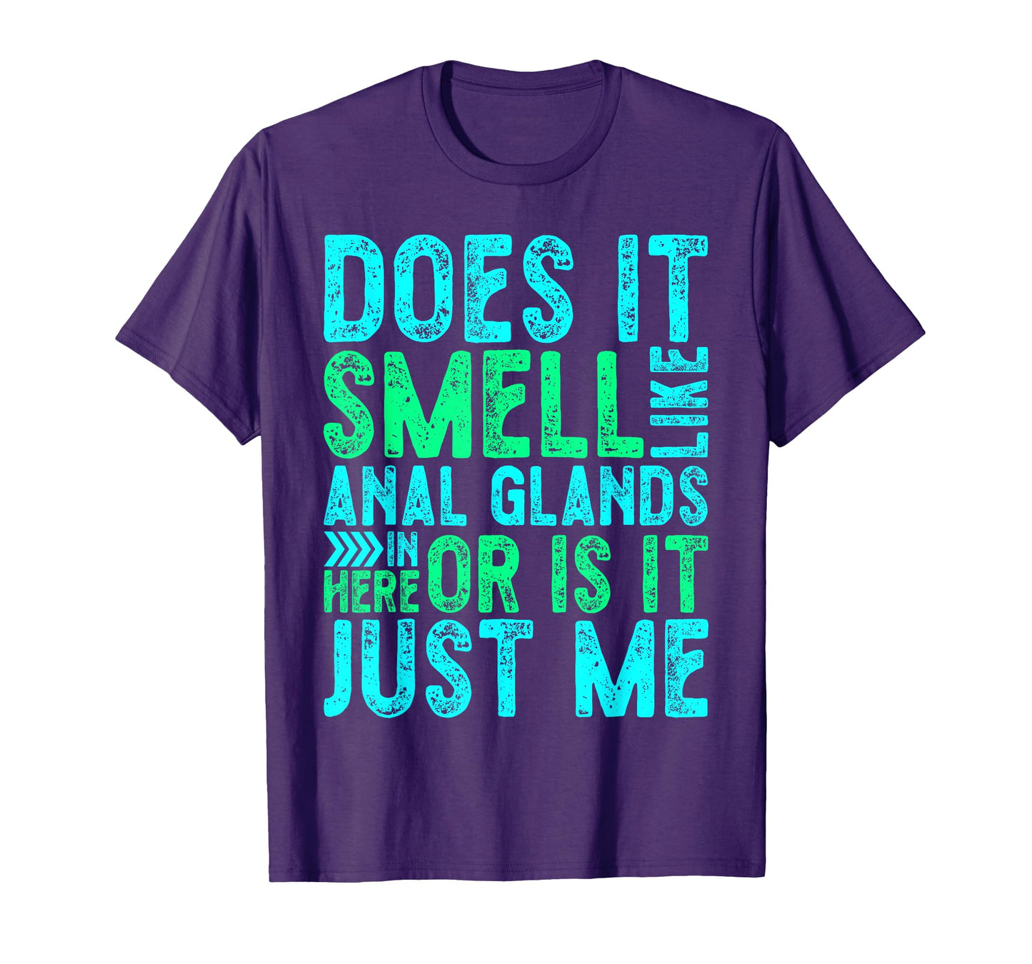 Distressed Does It Smell Like Anal Glands Funny Vet Tech T-Shirt