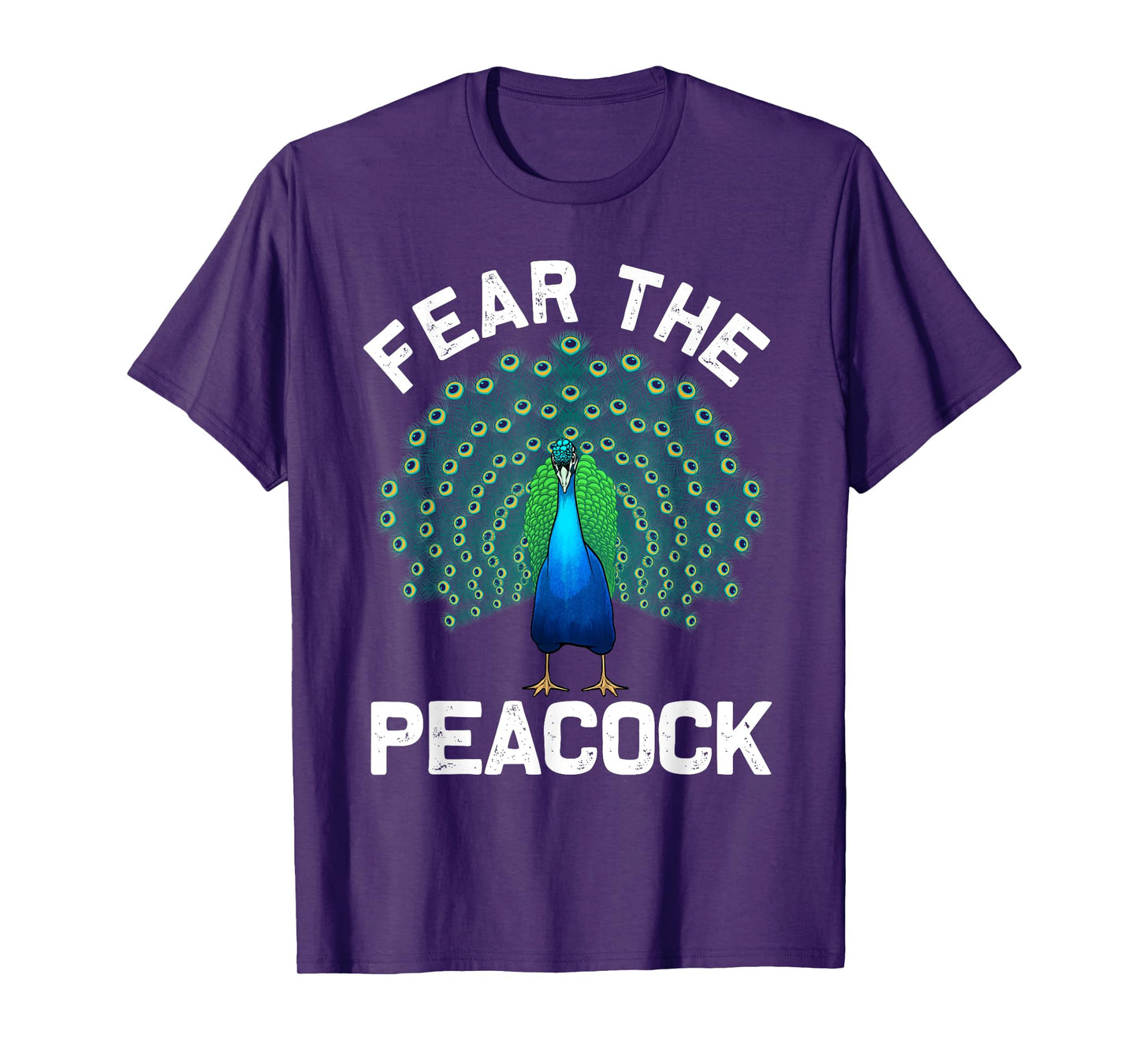 Funny Peacock Art For Men Women Colorful Peacock Bird Lover T-Shirt