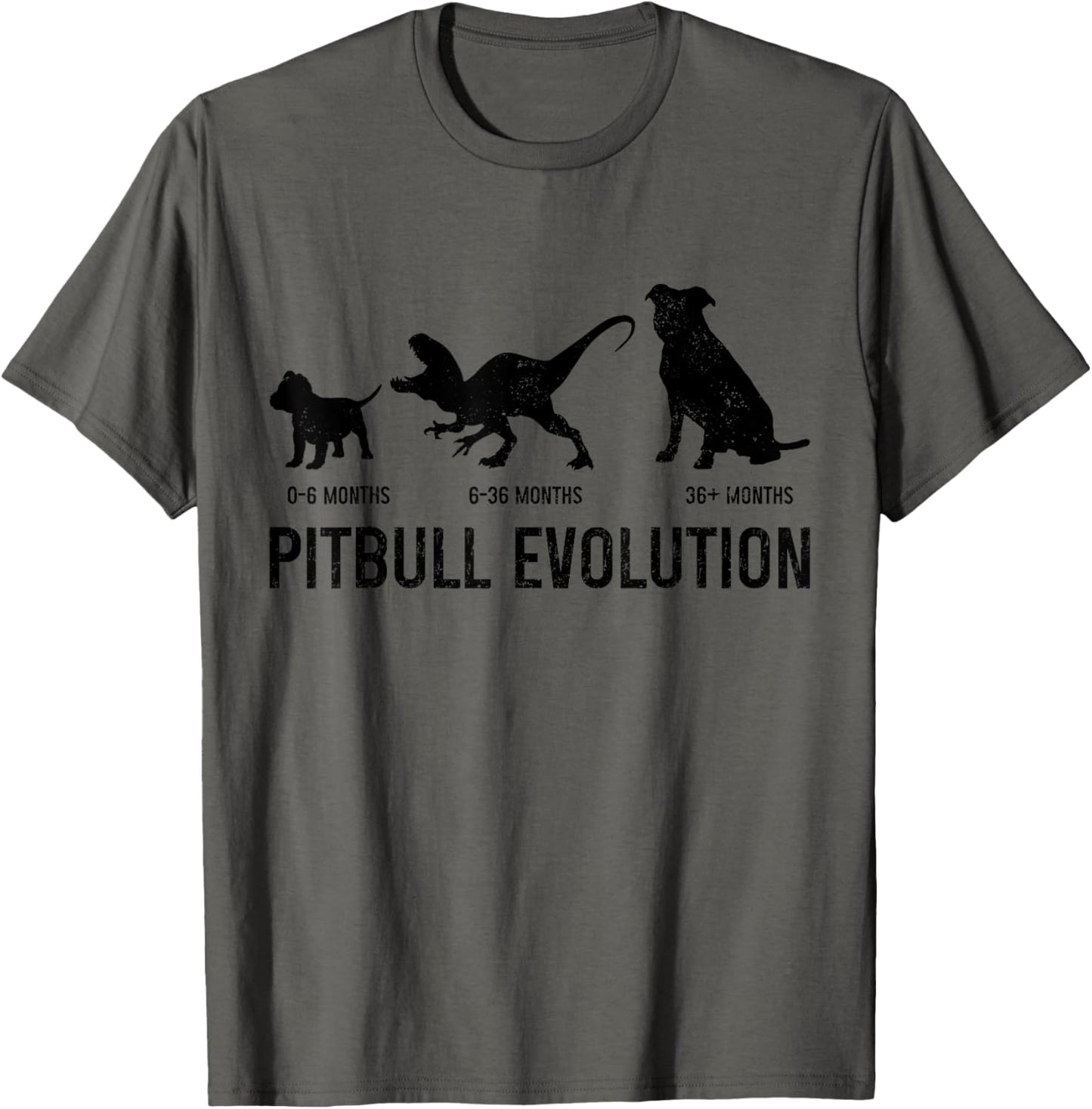 Pitbull Evolution Funny Dog Lover Puppy Pitbull Mom Dad T-Shirt