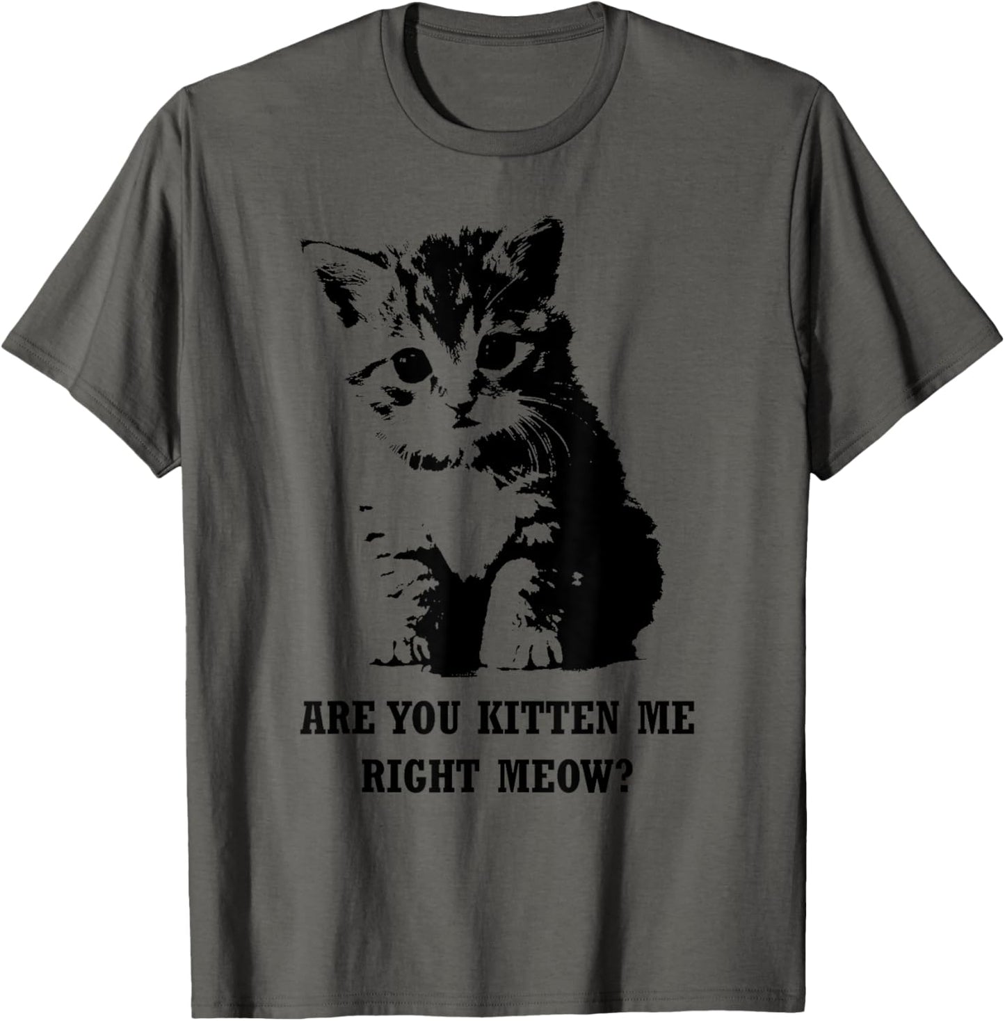 Are You Kitten Me Right Meow T-shirt T-Shirt