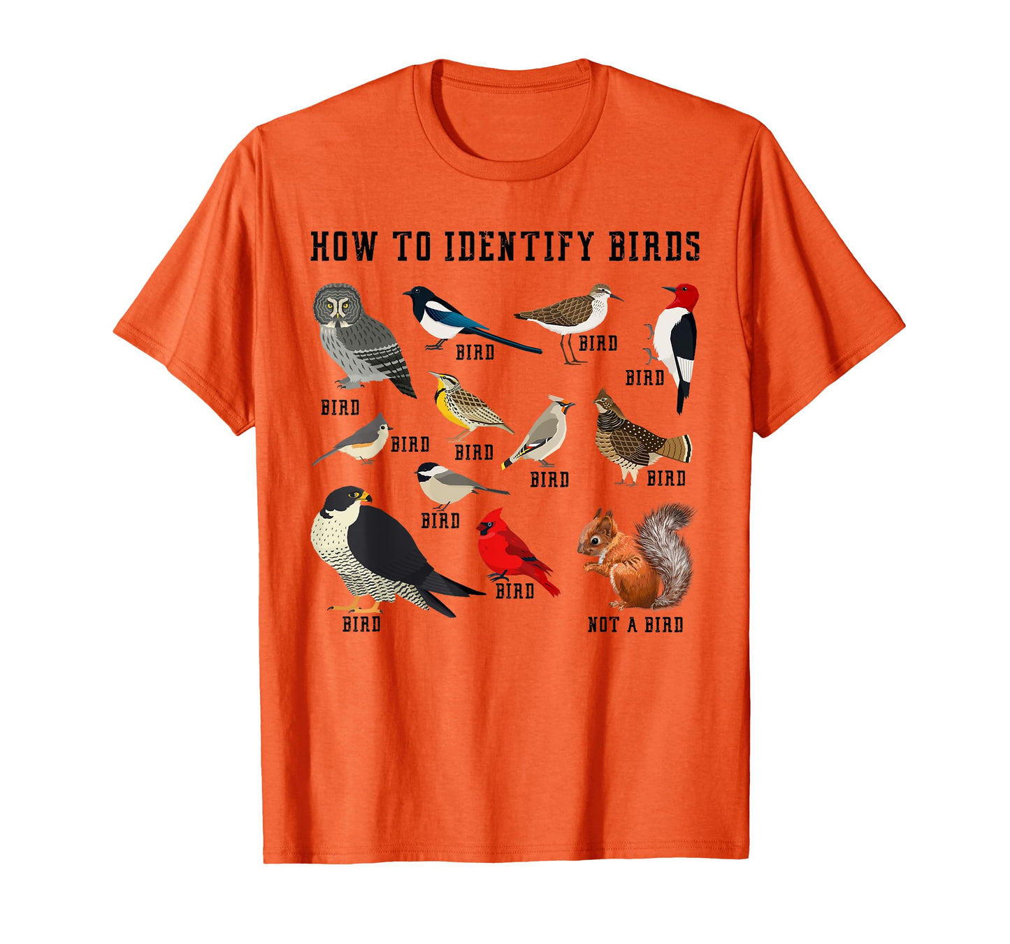 How to Identify Birds? Funny Birdwatcher for Nature Love T-Shirt
