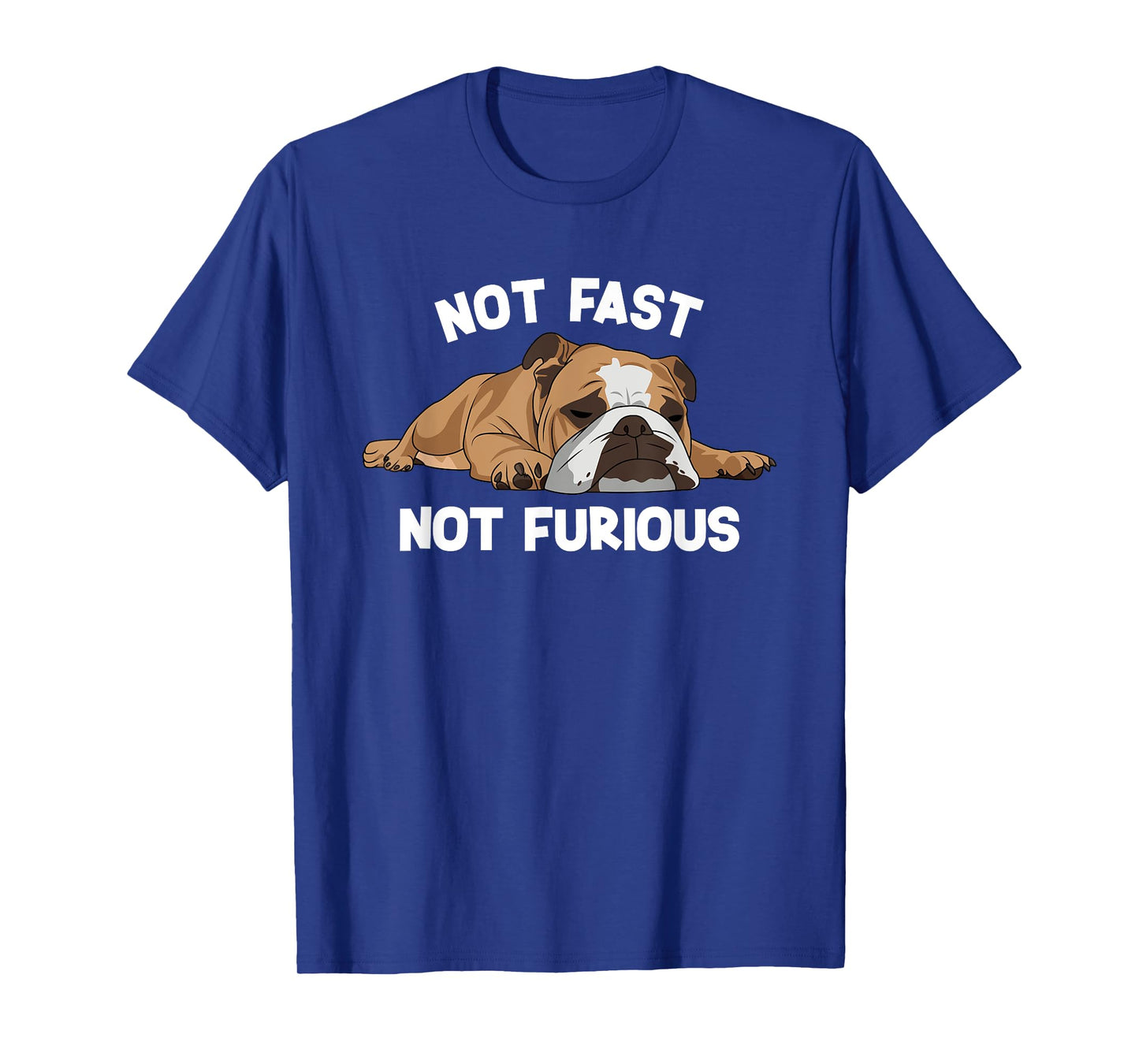 English Bulldog Sleeping Not Fast Not Furious Funny Slogan T-Shirt for Men Women Girls Kids