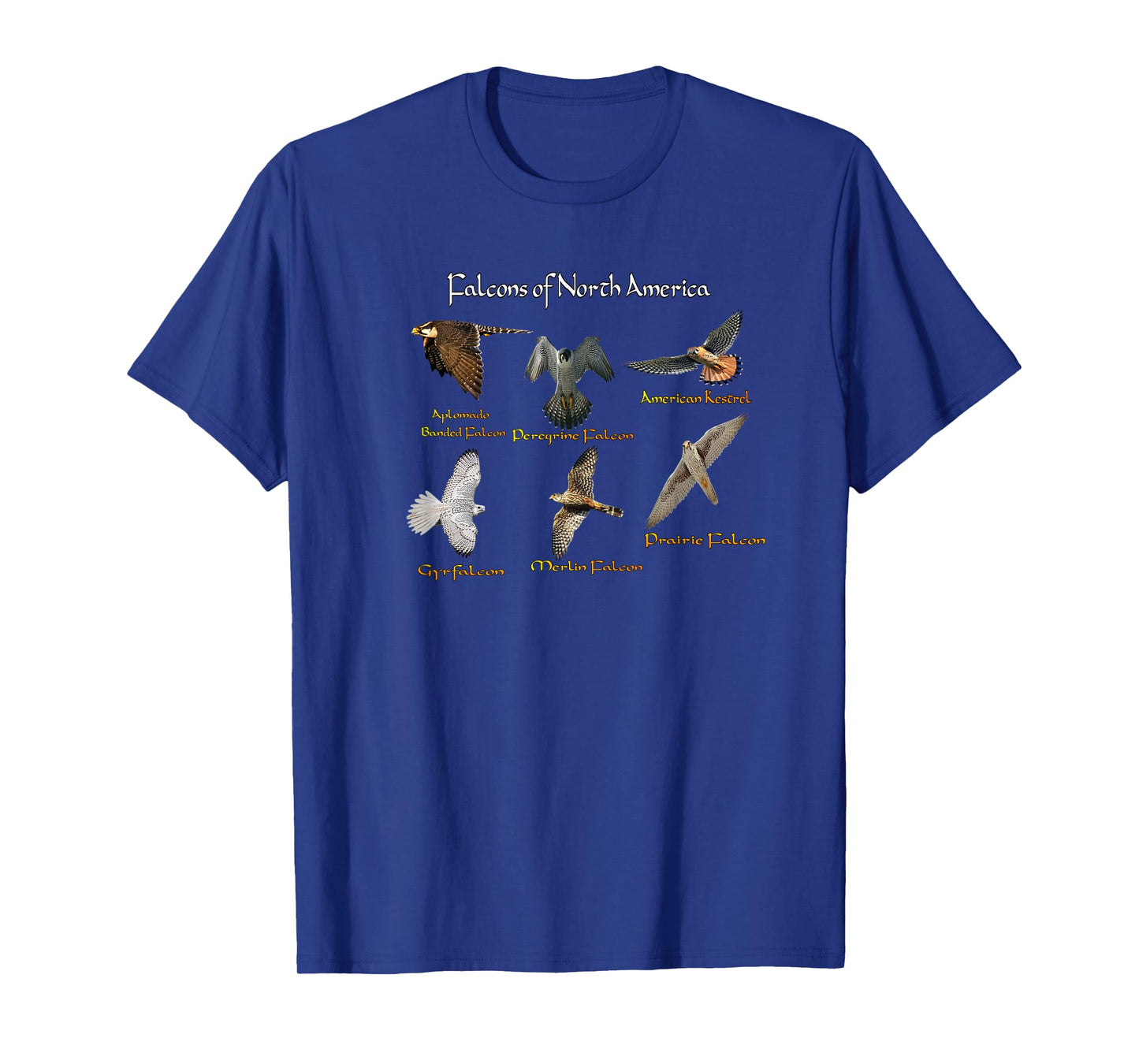 Types of Falcons T-Shirt