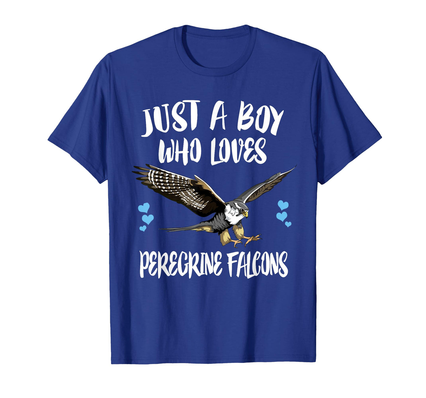 Just A Boy Who Loves Peregrine Falcons Birds T-Shirt