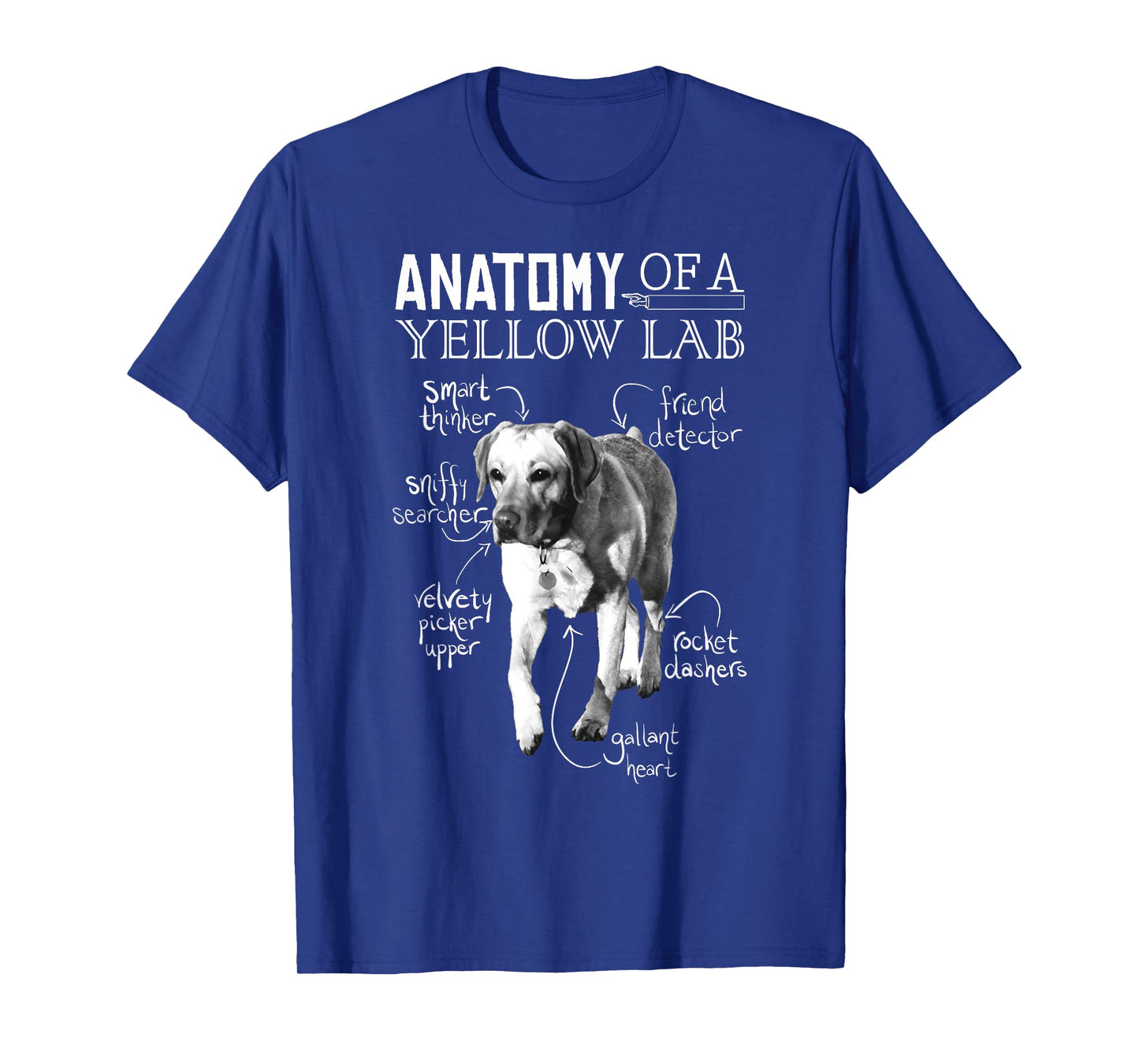 Anatomy of a Yellow Lab Chalkboard, Labrador Retriever Lover T-Shirt