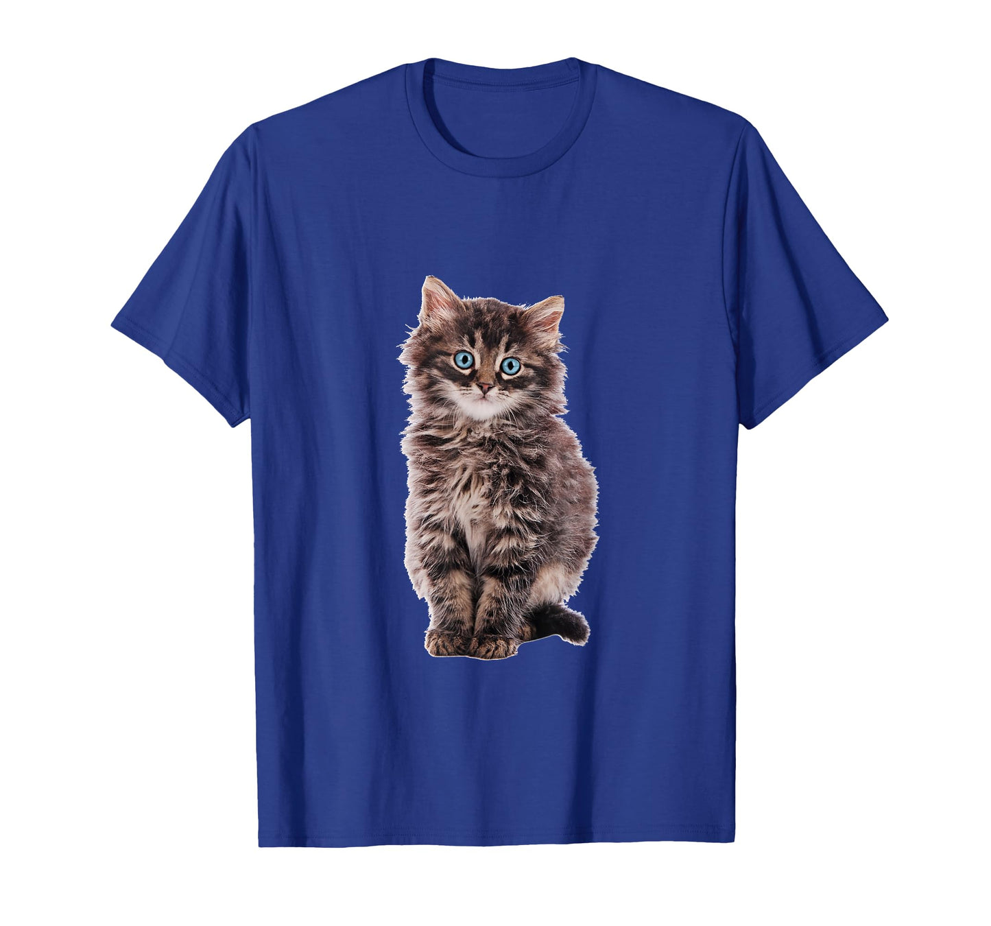 Adorable fluffy Maine Coon brown tabby kitten