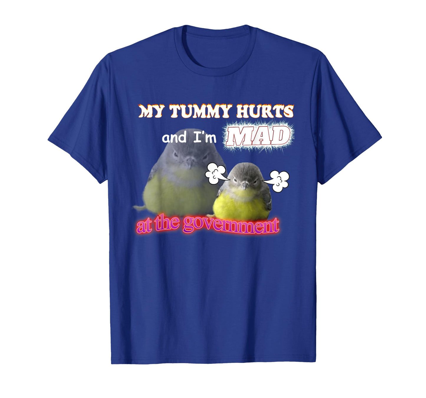 My Tummy Hurts And I'm Mad At The Government Birb Meme T-Shirt