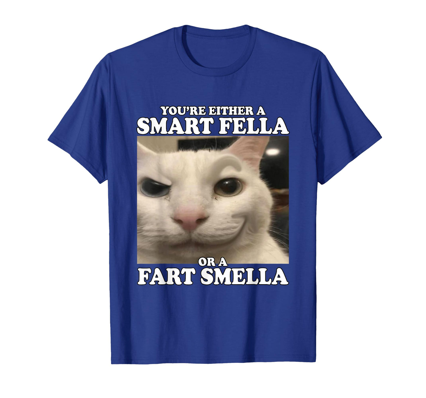 You're Either A Smart Fella Or A Fart Smella Funny Cat Meme T-Shirt