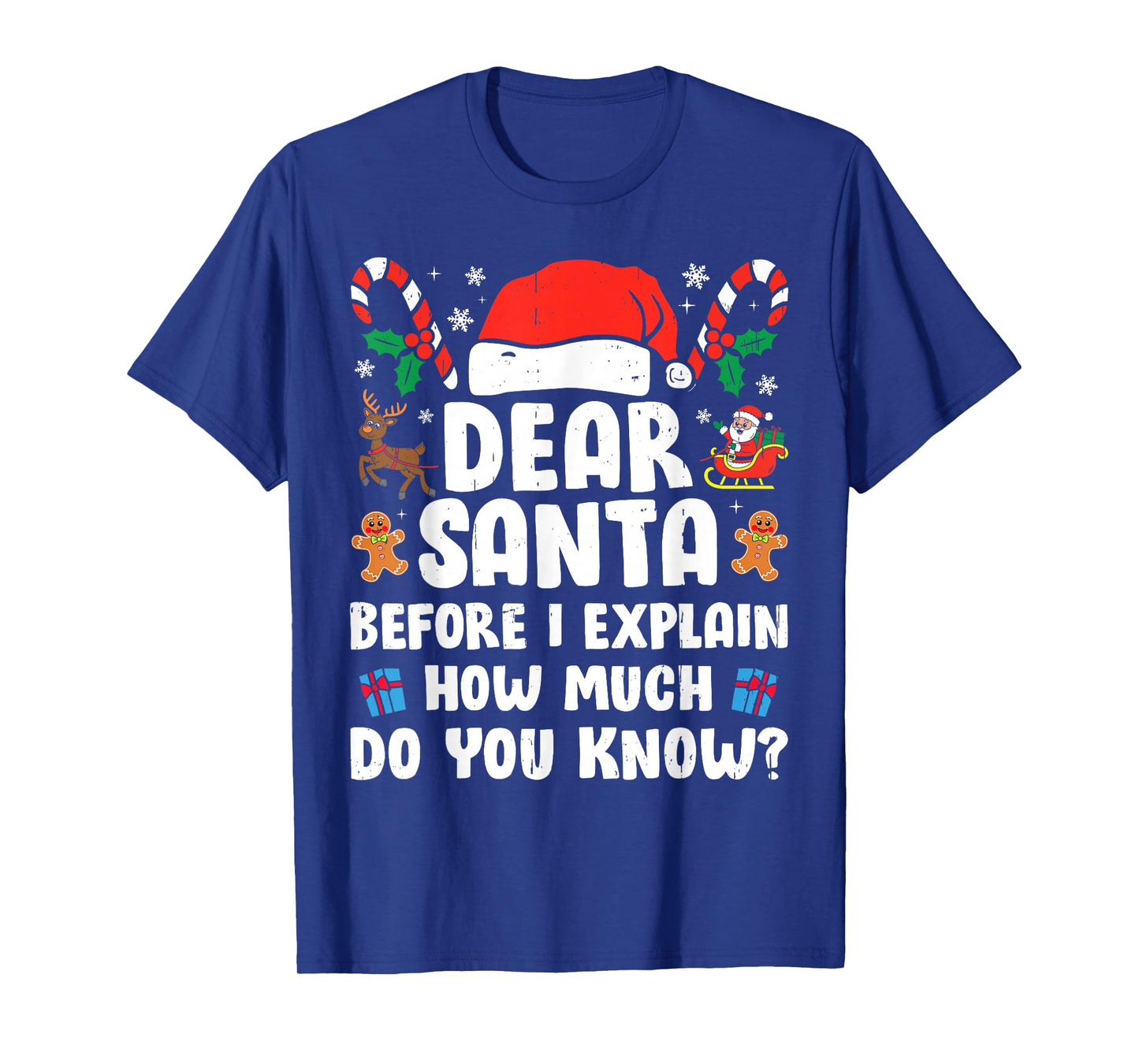 Dear Santa I Can Explain Funny Christmas Xmas Men Women Kids T-Shirt