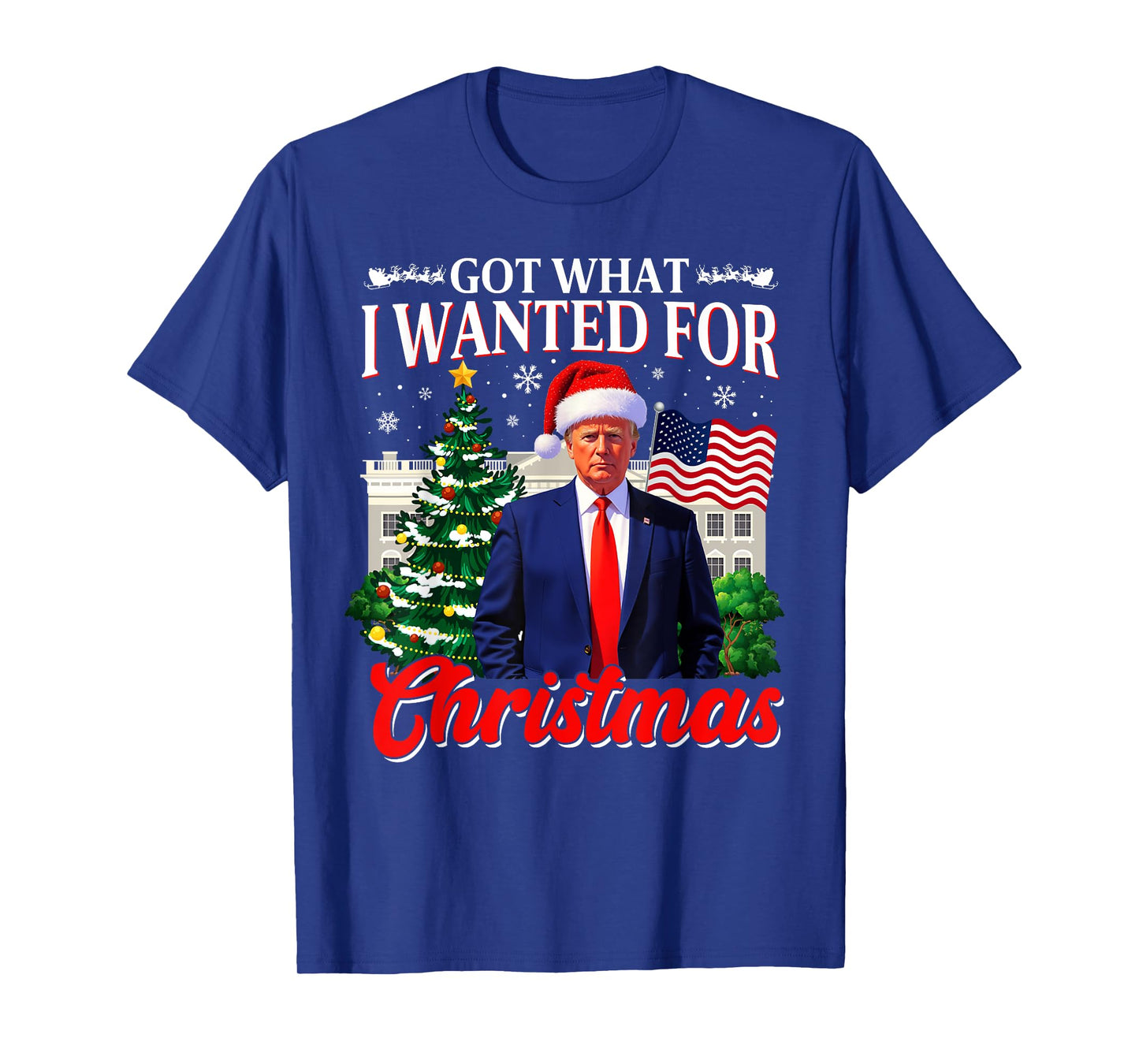Got What I Wanted For Christmas Donald Trump 47th President T-Shirt