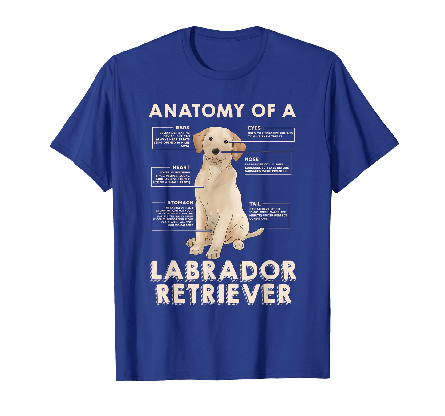 Funny Anatomy of a Labrador Retriever Graphic with Saying T-Shirt