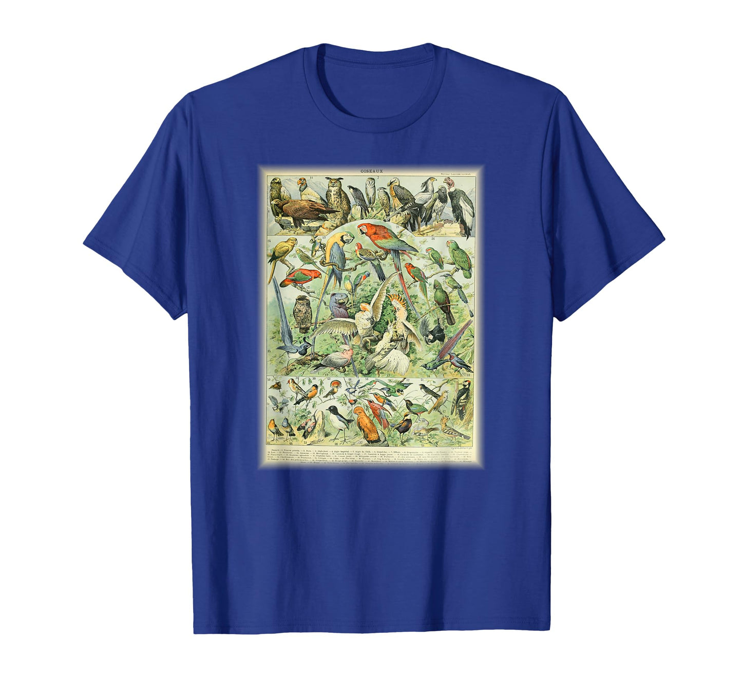 Scientific Bird Illustration Lover Biologist Birding Gift T-Shirt