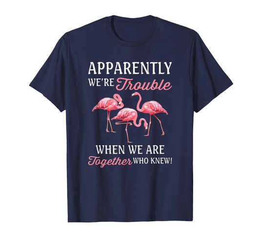 Apparently We're Trouble When We Are Together Who Knew T-Shirt