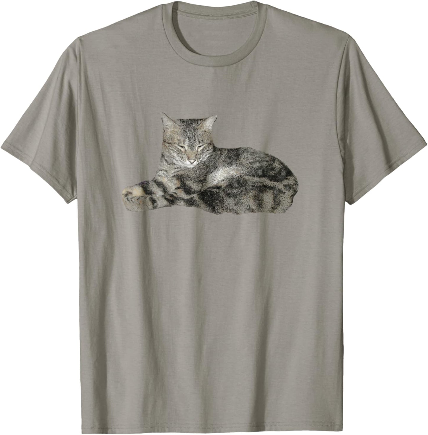 Cute Brown Tabby Cat Art T-Shirt, Cat Lovers Novelty Shirt T-Shirt