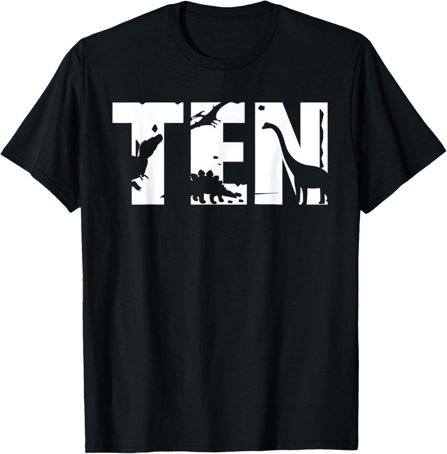 10 Years Old Birthday Boy Dinosaur T-Rex Gift, 10th BDay T-Shirt