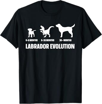 Labrador Evolution Design for a Labrador Owner T-Shirt