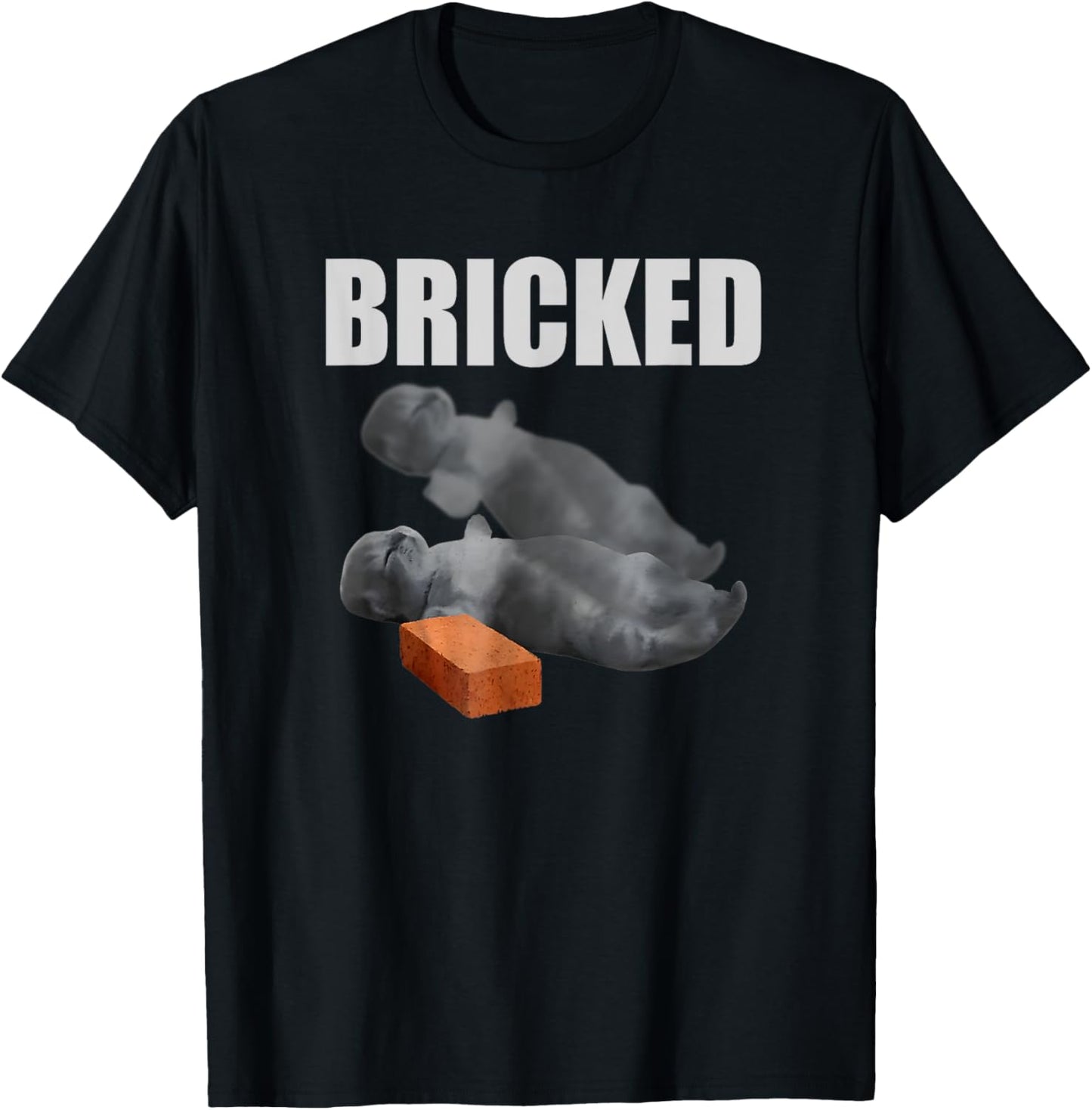 Cat Bricked Funny Knocked Out Meme Silly Cats Saying T-Shirt