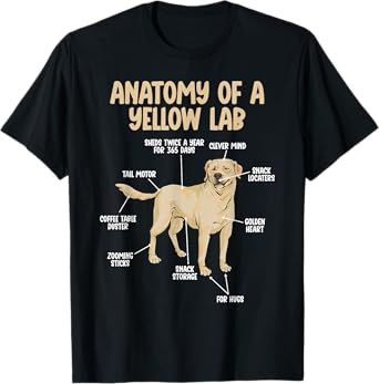 Anatomy Of A Yellow Lab Yellow Labrador Retriever T-Shirt