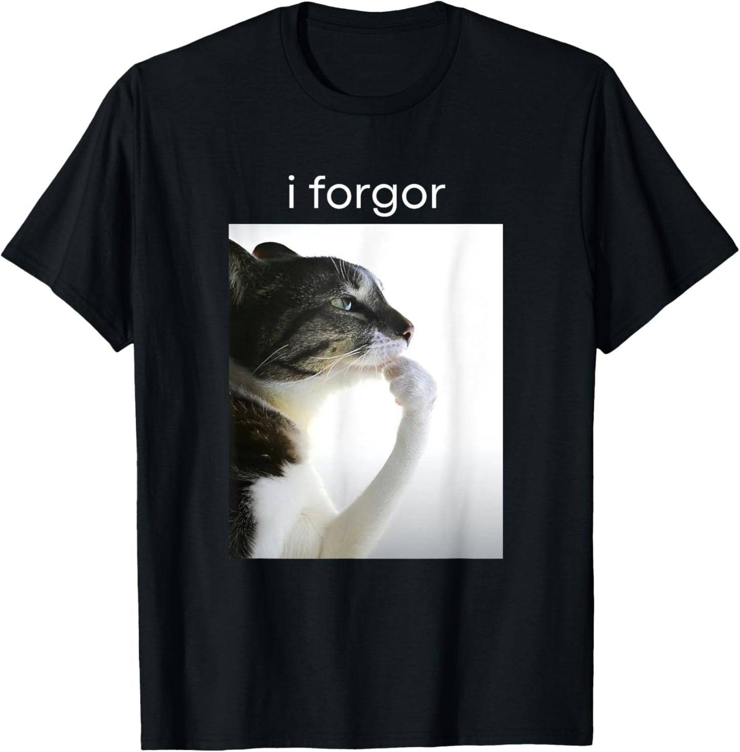 funny silly cat meme i forgor cringe brainrot meme T-Shirt
