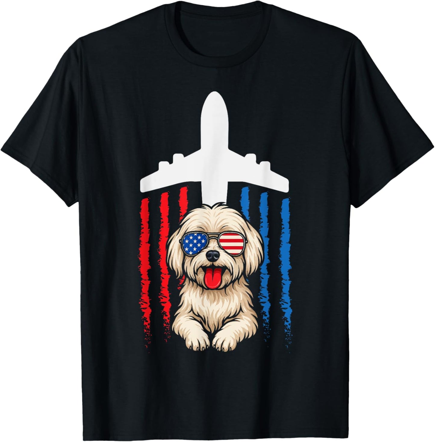 4th of July T-Shirt