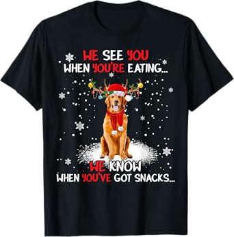 Santa Golden Retriever Reindeer Light Christmas Pajama T-Shirt