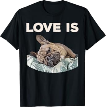 Cute Love Is Frenchie Great French Bully Owners Gift Idea T-Shirt