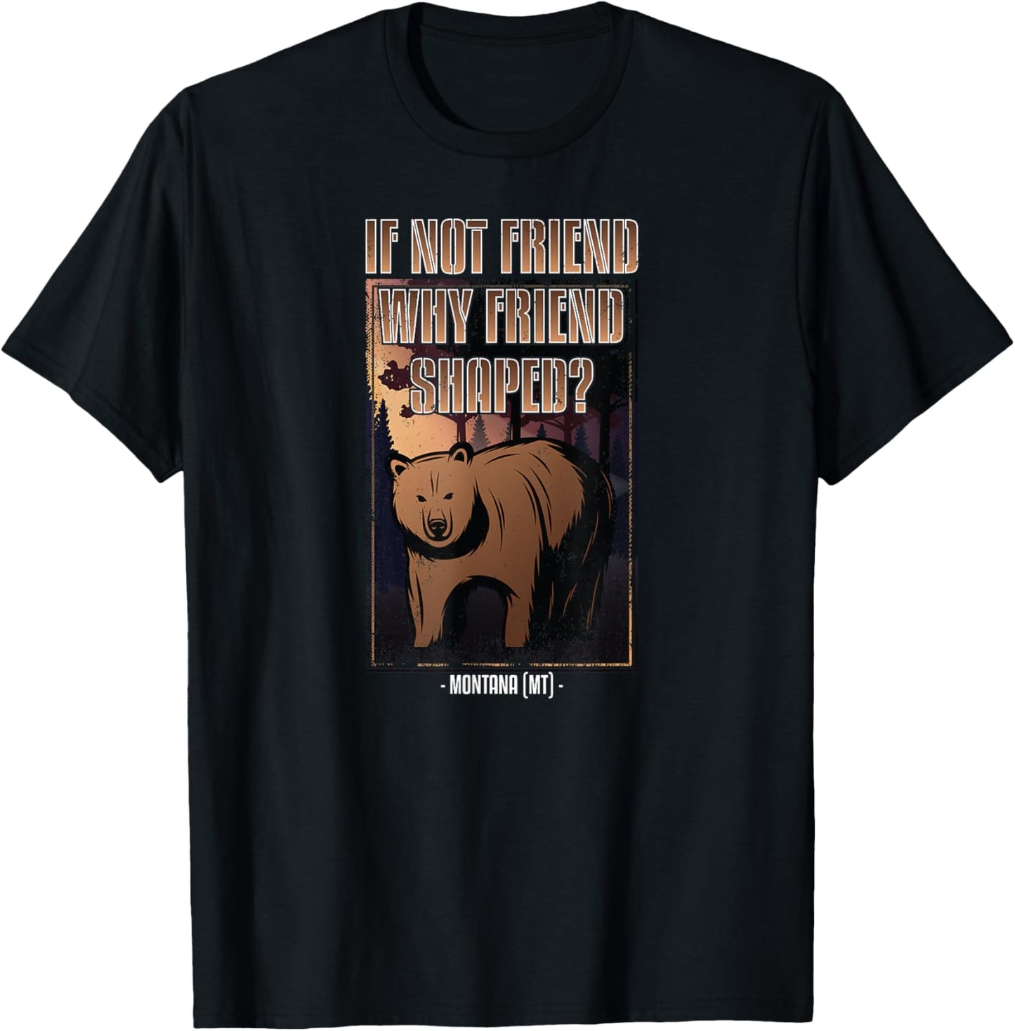 Funny If Not Friend Why Friend Shaped Bear Montana T-Shirt