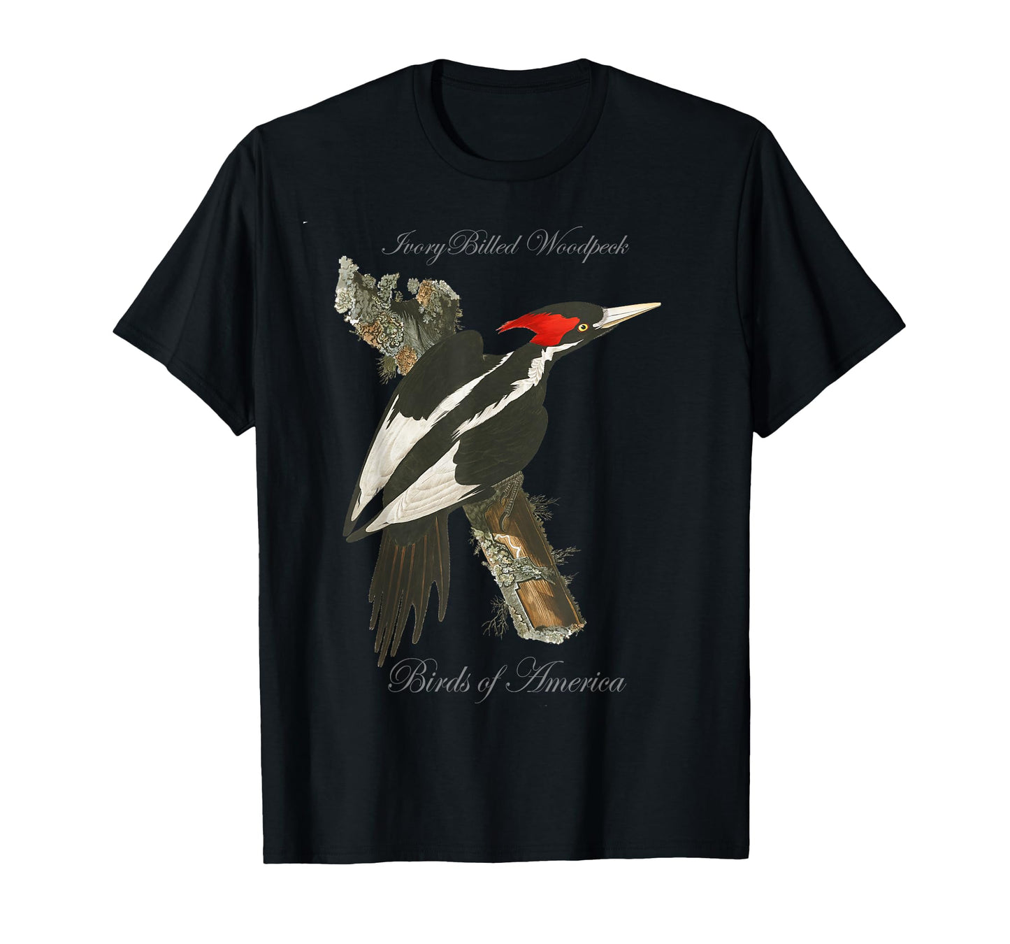 Ivory Billed Woodpecker - Birds of America Series T-Shirt T-Shirt