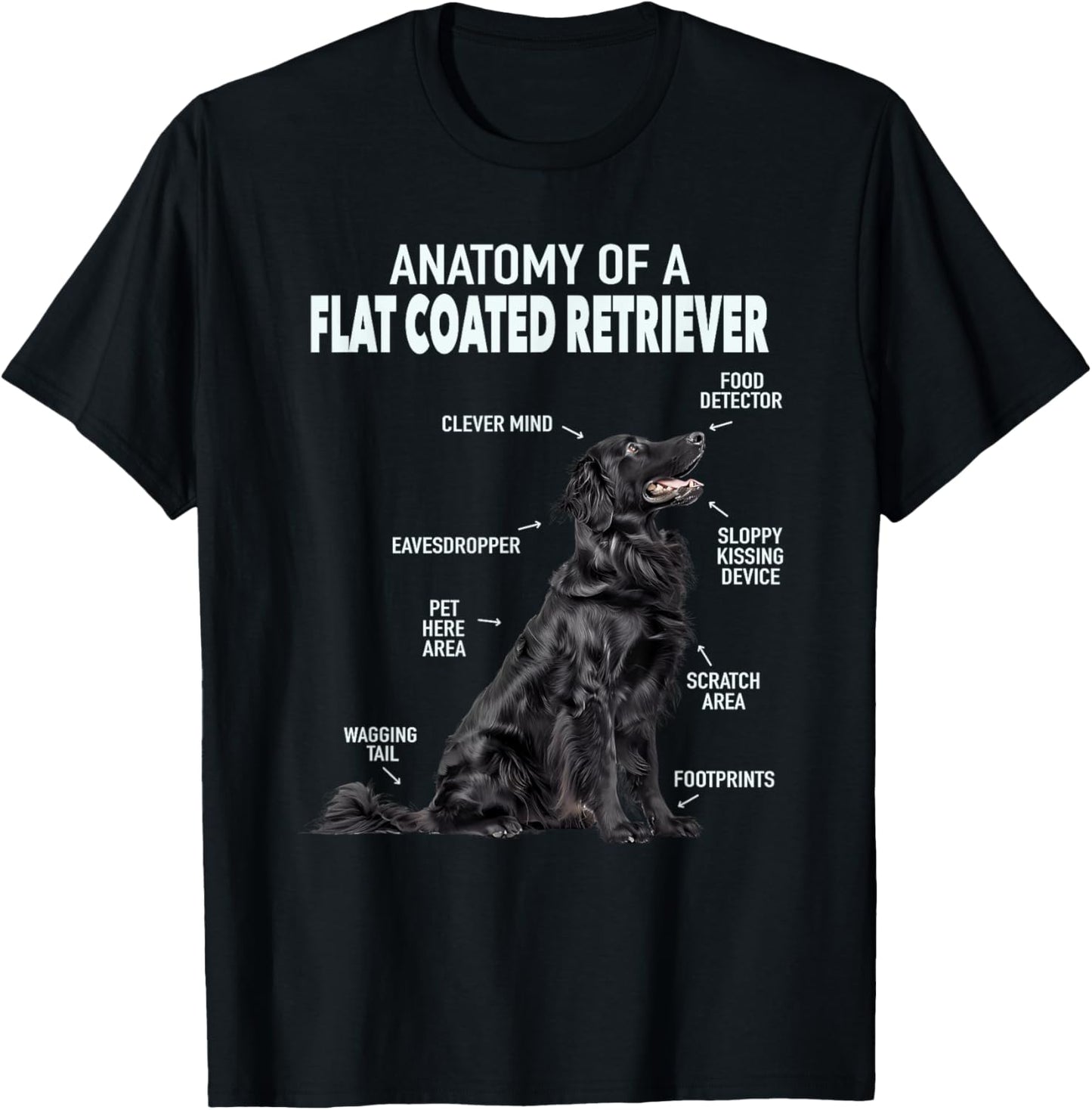 Anatomy Of A Flat Coated Retriever T-Shirt, Small, Black