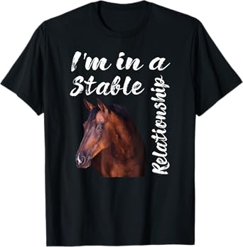 I'm In a Stable Relationship T-Shirt