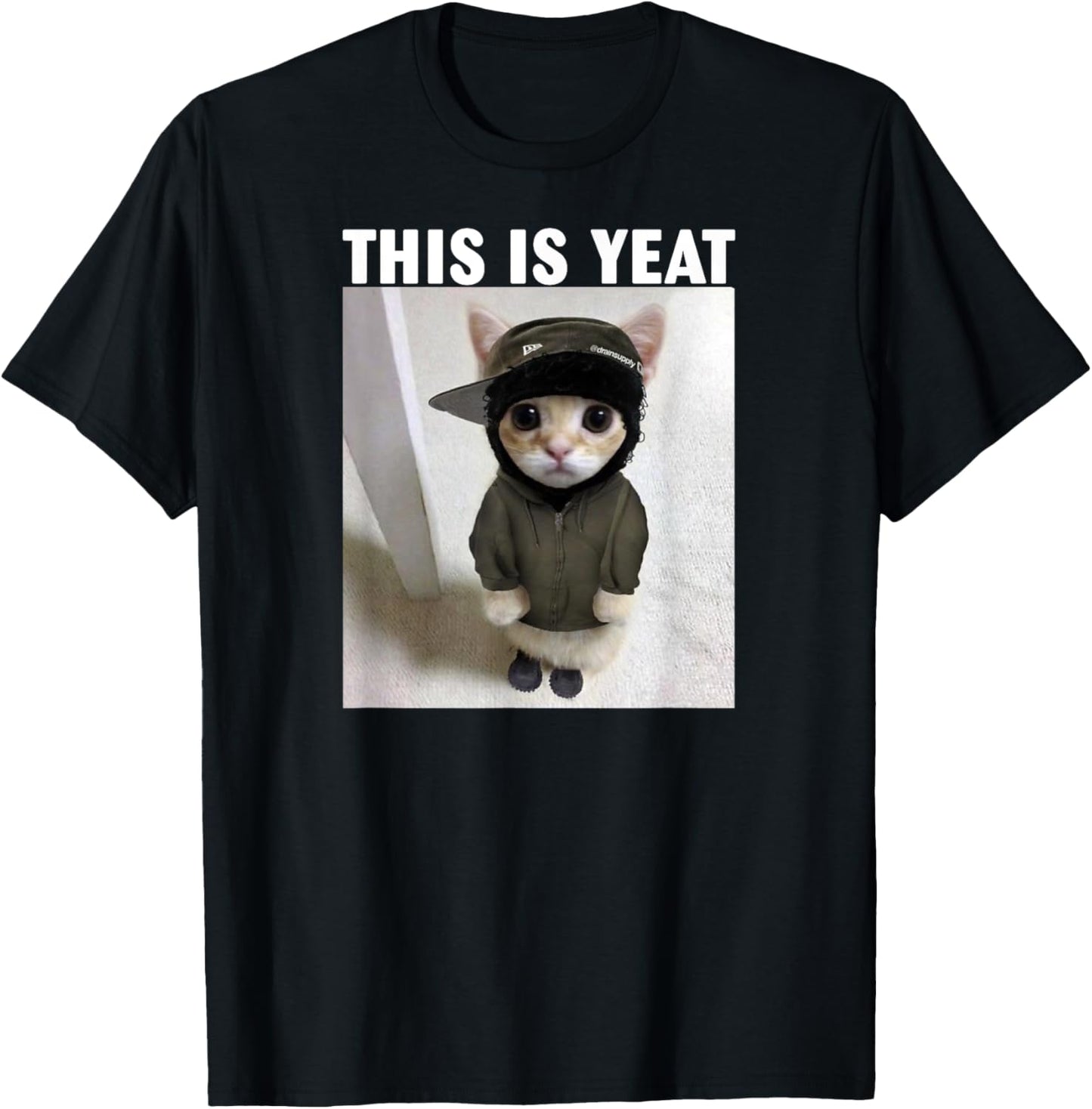 Cat this is Yeat Meme T-Shirt