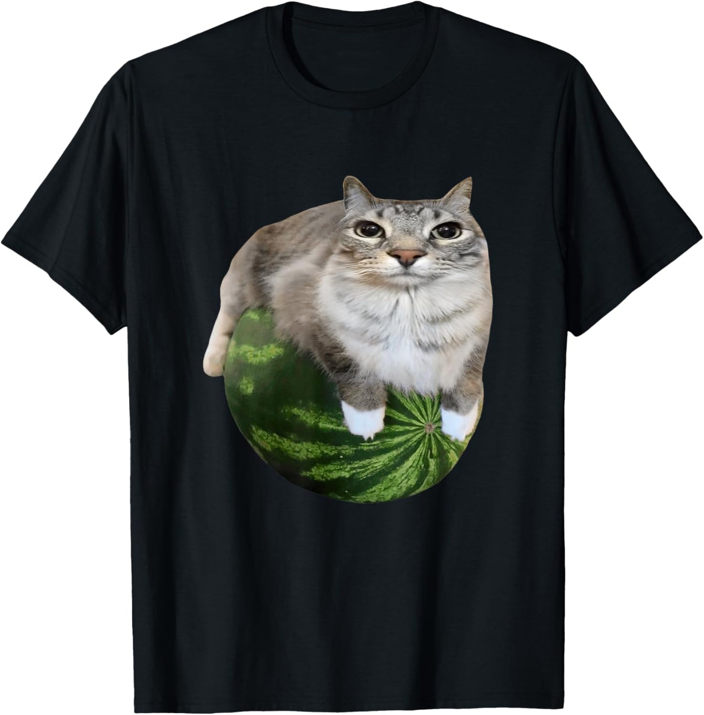 Watermelon Cat Silly Cat Meme T-Shirt