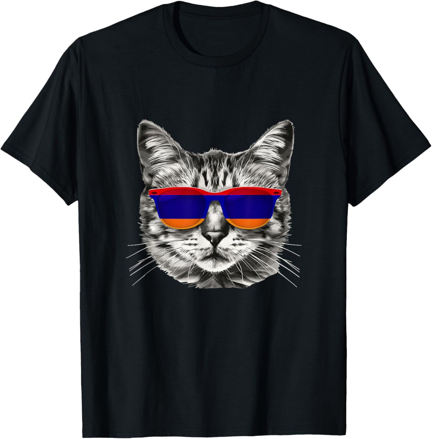 Armenian Flag Cat Owner Souvenirs Products Kitten Armenia T-Shirt