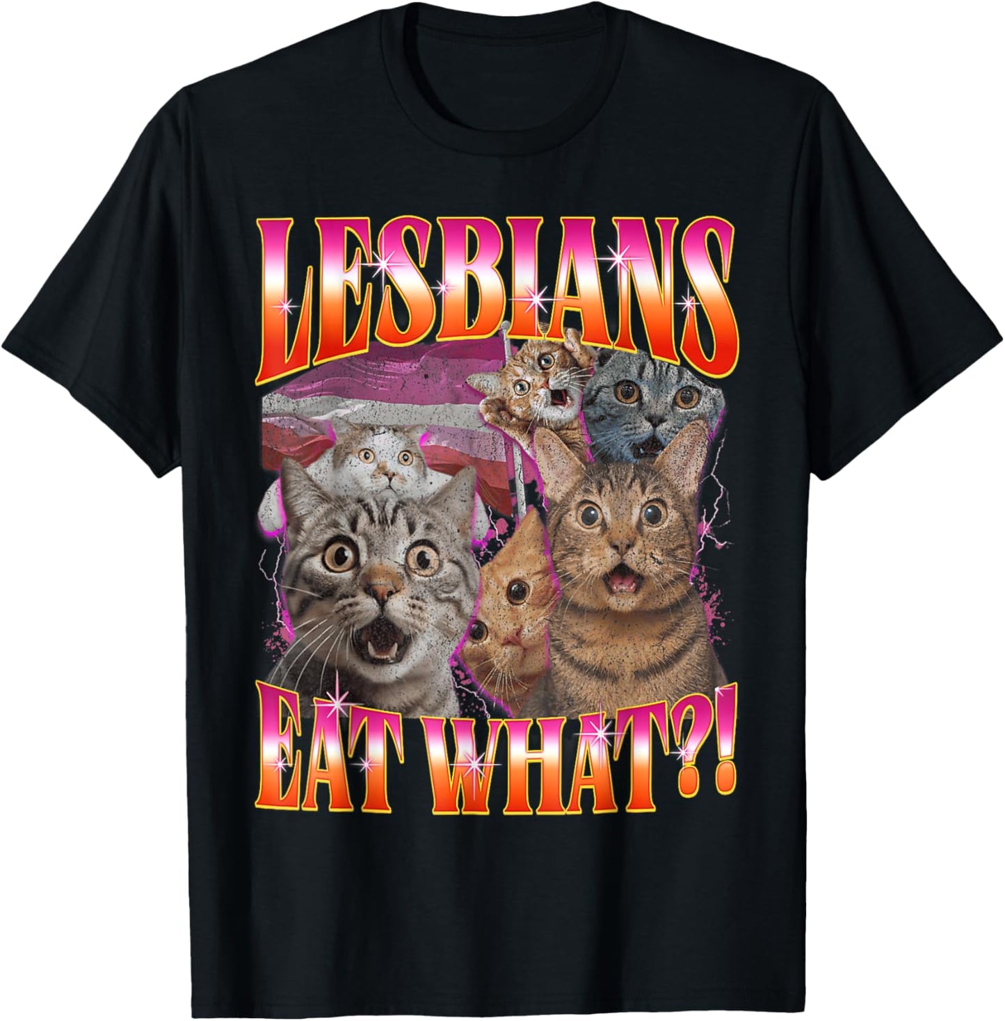 Retro LGBT Eat What Cat Lesbian Pride Month Equal Rights T-Shirt
