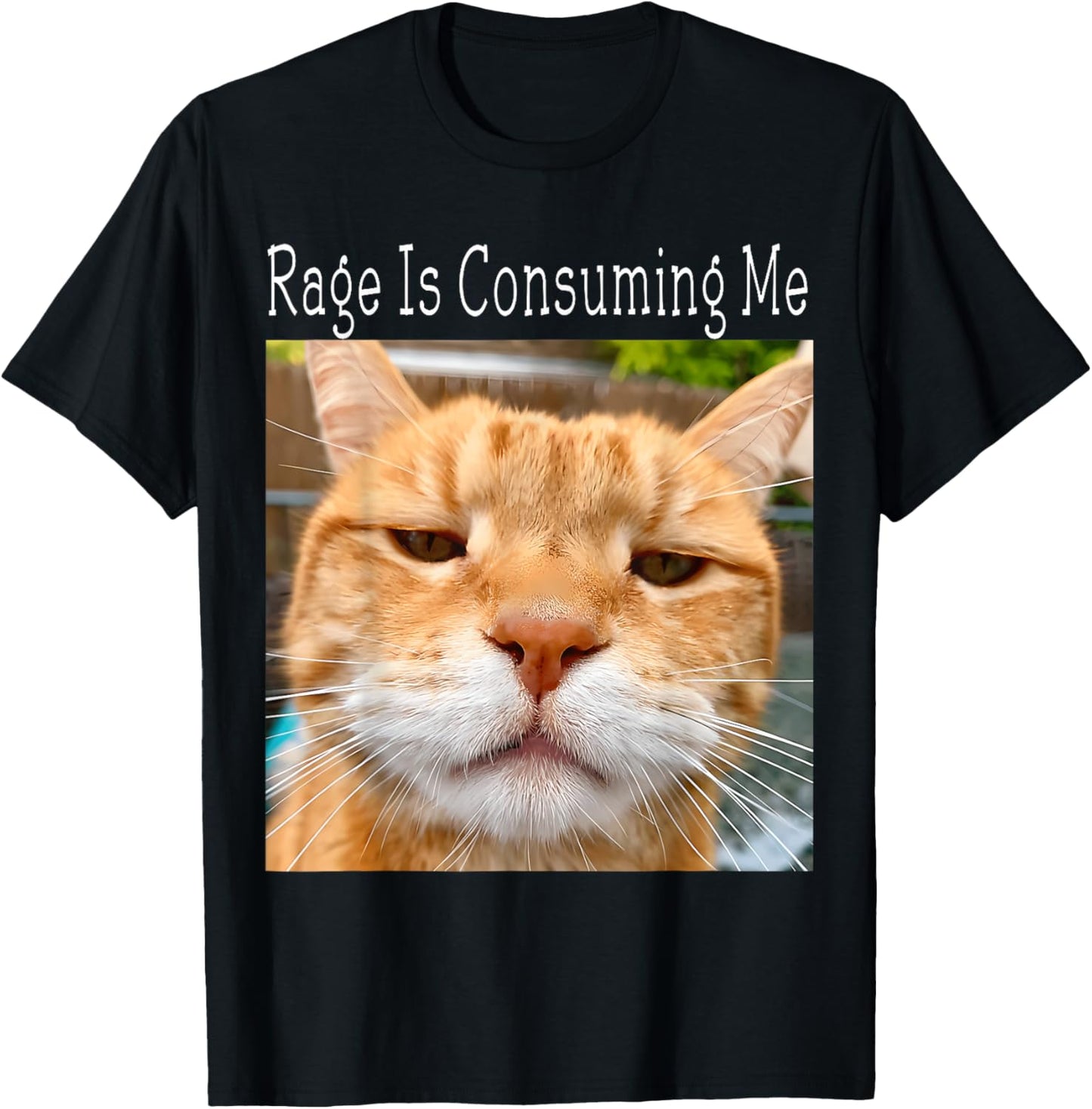 Rage Is Consuming Me Silly Staring Cat Meme T-Shirt