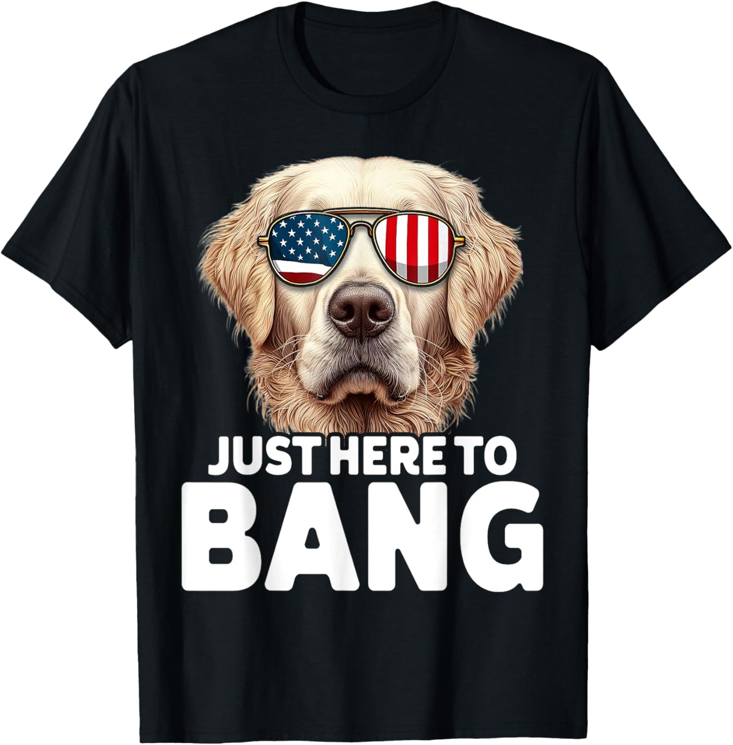 Golden Retriever 4th Of July Gifts Men Women Patriotic T-Shirt