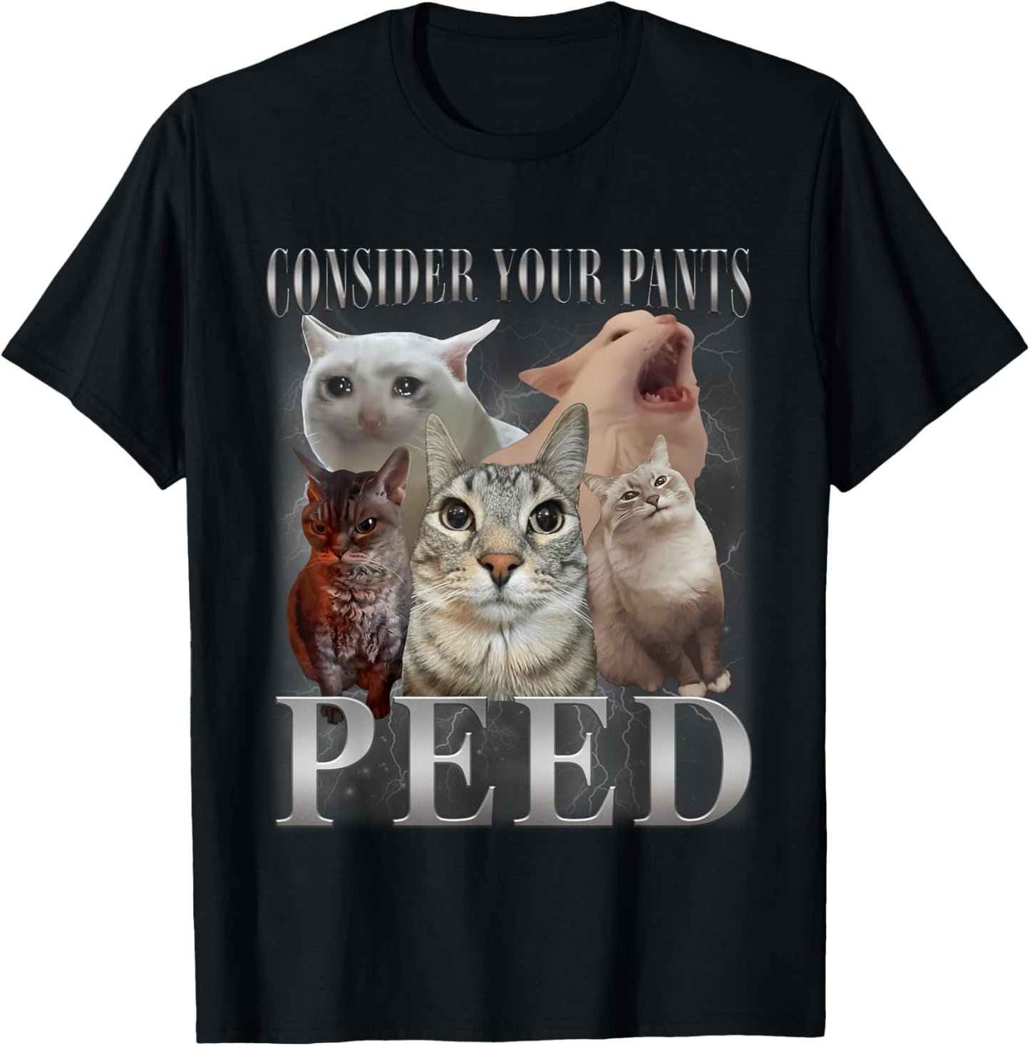 Consider Your Pants Peed Funny Weird Silly Cat Meme T-Shirt