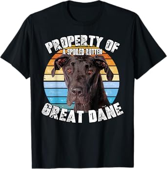 Great Dane Black Vintage Retro Property Of T-Shirt