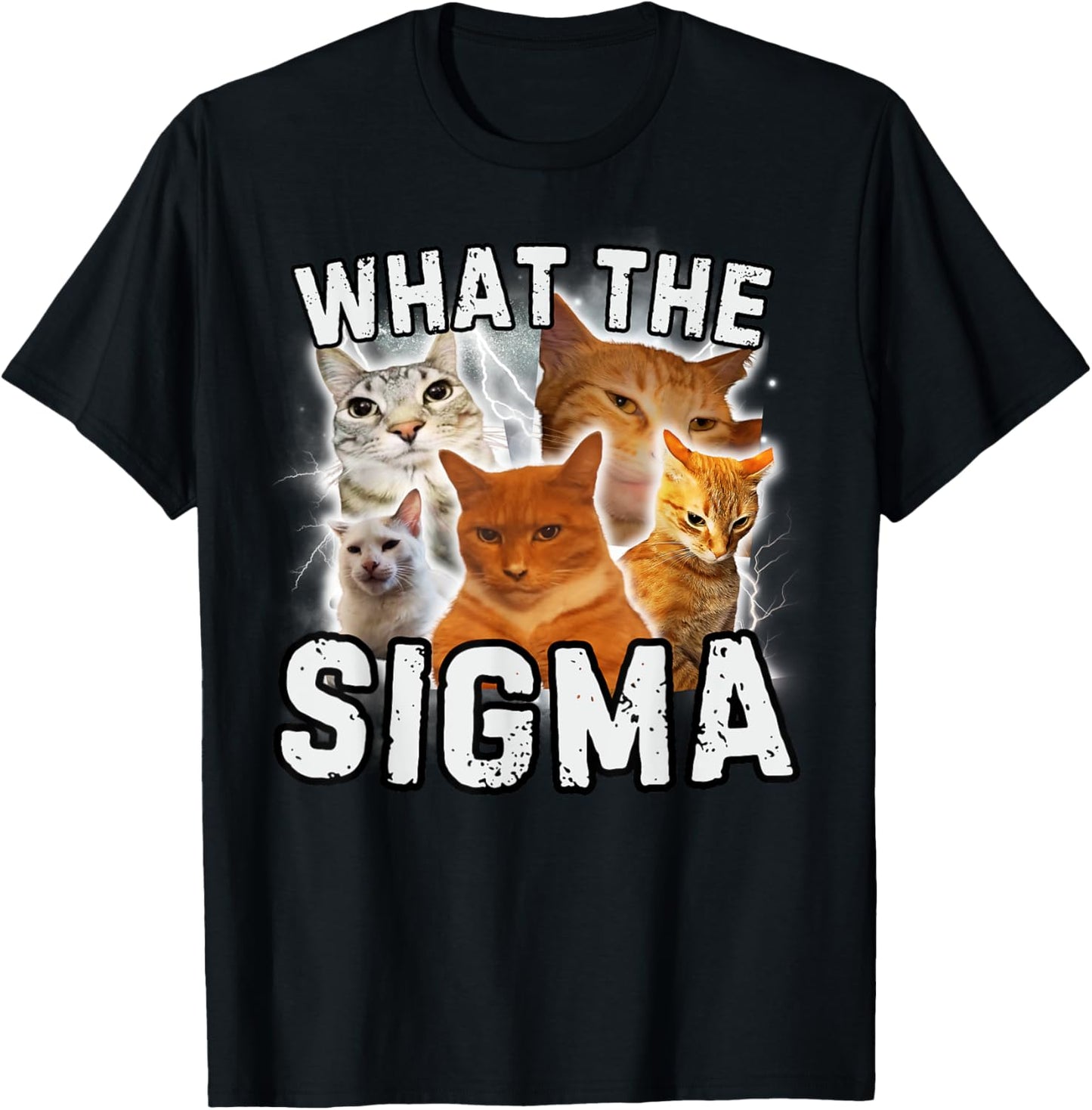 Erm, What the Sigma? Sill Cat Funny T-Shirt