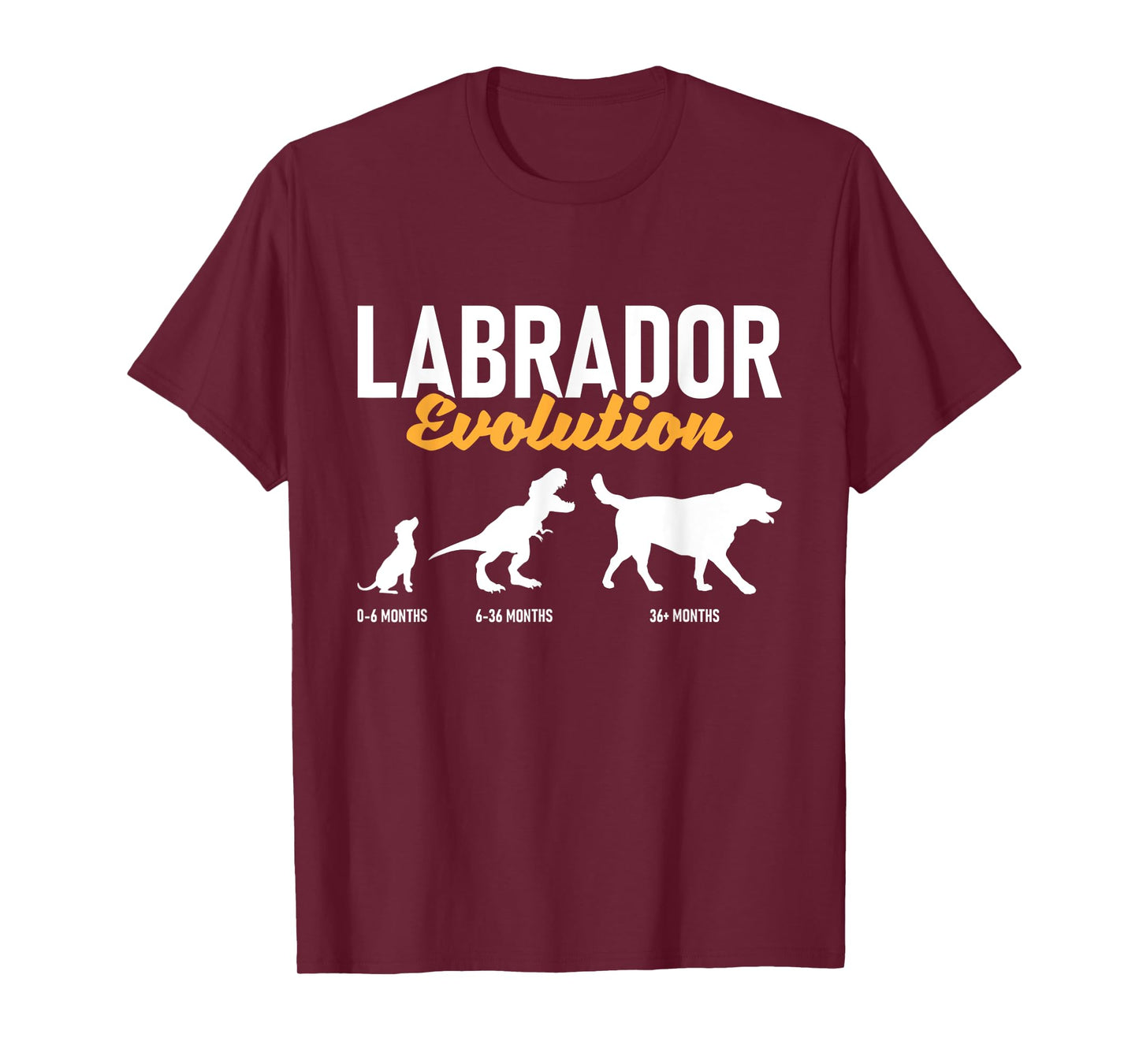Labrador Evolution - Pet Owner Animal Dog Lover T-Shirt