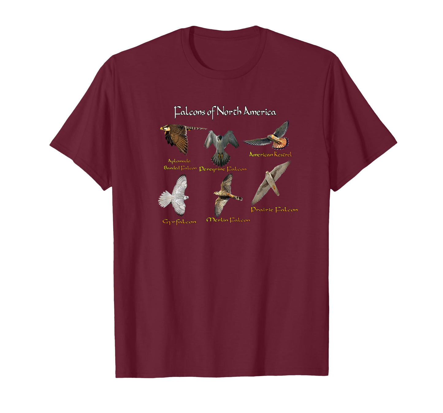 Types of Falcons T-Shirt