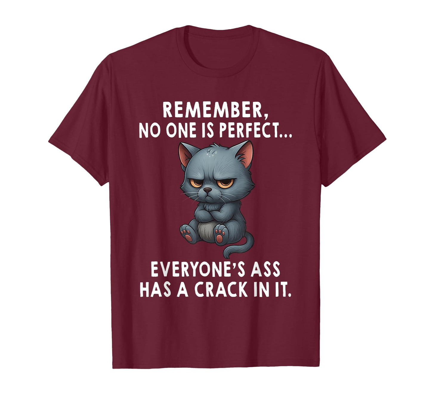 Remember No One is Perfect Everyone's Ass Has A Crack in It T-Shirt