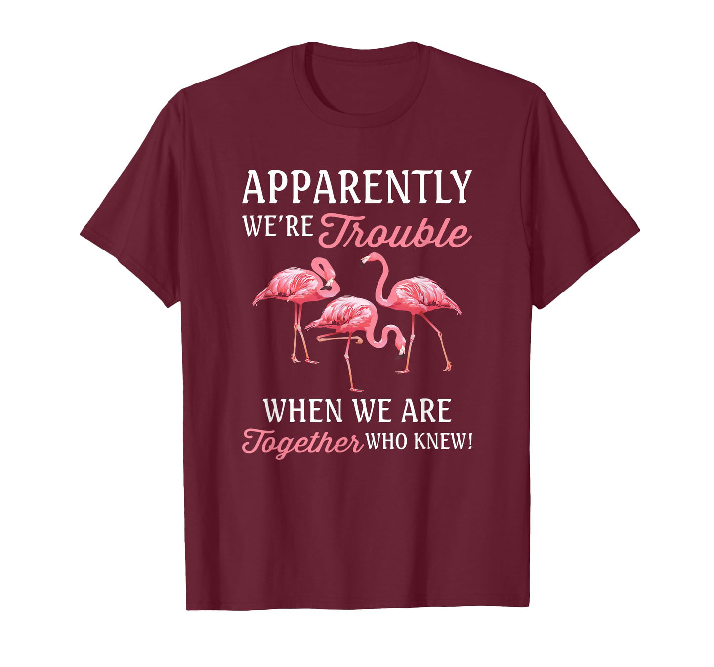 Apparently We're Trouble When We Are Together Who Knew T-Shirt